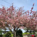 선흘1리경로당 이미지