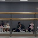 한강아쿠아 롯데마트 김포한강점 | 23개월 여아 김포 롯데마트 김포한강점 트윈클 영어 발레 첫 수업 후기