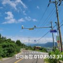 진아농장 이미지