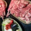 구로-구로-구로-1458 이미지