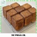 선두구동 애견카페 셀라스 가격 및 후기 추천 리뷰 주차 예약 알아볼까요