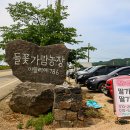 이민숙농장 네이버블로그