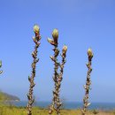 목섬민박 이미지