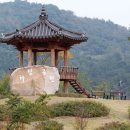 하림공원(이벤트광장) Daum카페