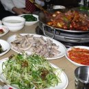 기장꼼장어 이미지