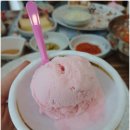 평택소방서 앞 | 평택 시청 비전동 돈까스맛집 무진돈 현지인 추천