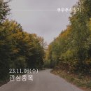 23.11.08(수) 관심종목