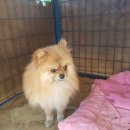 북삼읍사무소 이미지