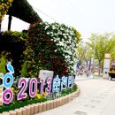 휠체어타고 떠나는 지상 1M의 시선, 순천·여수 1박 2일 이미지