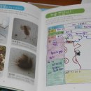 원종지역아동센터 이미지