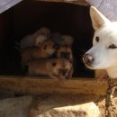 새이모퉁이 이미지