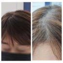 바비수제 | 가발커트 잘 하는 곳｜수제 맞춤가발로 티 안 나게...가발맞춤관리전문 두피앤헤어 [시크릿바비뷰티거창점]