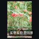도란도란한의원 네이버블로그