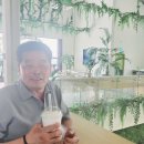 두정산성 Daum카페
