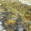 백담소나무계곡펜션 이미지