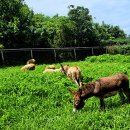 박병주농장 이미지