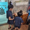 미니펫스토리 | 대구 미니펫스토리 아이와 함께한 첫 반려동물 피그미다람쥐 분양 후기