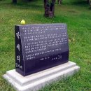 현충원로(유성-19) 이미지