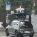 국립해양박물관 이미지