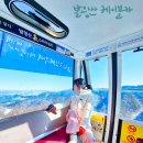 발왕산 관광케이블카 코스 이미지