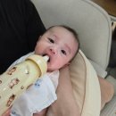 올앤올 | 토비앤몰리올데이젖병 실사용후기, 배앓이 고민 줄여준 280ml PPSU젖병