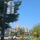 송산체육시설 축구장 | 송산 반려견 놀이터에 다녀왔어요~