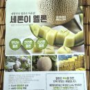 멜론