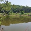 서진레포츠 이미지