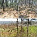 근계2리 이미지