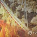 이승민농장 이미지