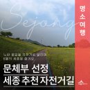 호수공원중앙수목원로 이미지