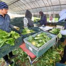 여의축산 이미지