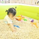 토토로의 숲 힐링카페