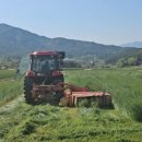 경영축산 이미지