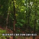 당뇨에 좋은 약초 5 한방차 약재 이미지