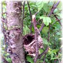 순천만의 추억 이미지