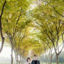 아그로엘 스튜디오