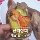 단짝스토어 | 꿀밤고구마 맛 차이 느끼고 싶다면 단짝상회 해남고구마 추천