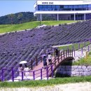 이승현농장 이미지