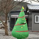 cafe 바람구름 | 괴산 "숲, Camp&amp;Cafe" - 편안한 휴식 캠핑 .. 쿠디 10.0 &amp; 에어타프