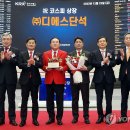 (주)디에스단석