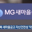 새마을금고 이미지
