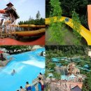 체육공원로399번길 이미지