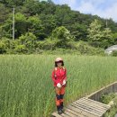 신천3리 이미지