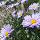 들녘목장 이미지