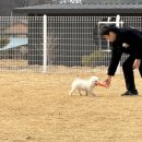 언더아멍 이미지