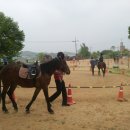 당진 승마장 이미지