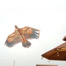 수리야 놀자 이미지