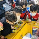 행복가득 검무관 신사 합기도 이미지