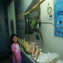 제주남도 이미지